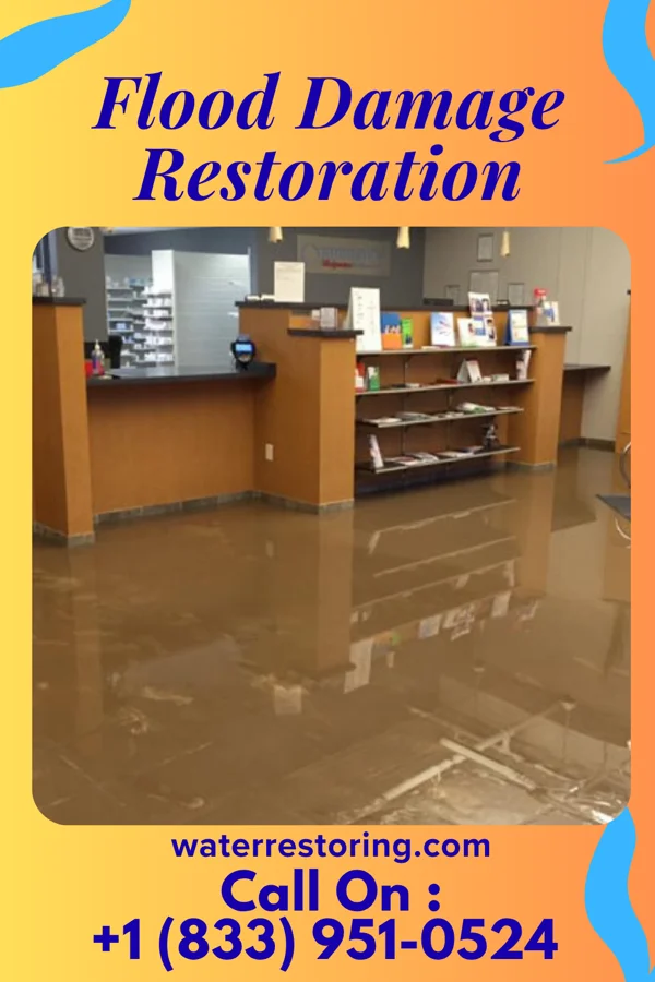Flood Damage Restoration in Belmont, NC